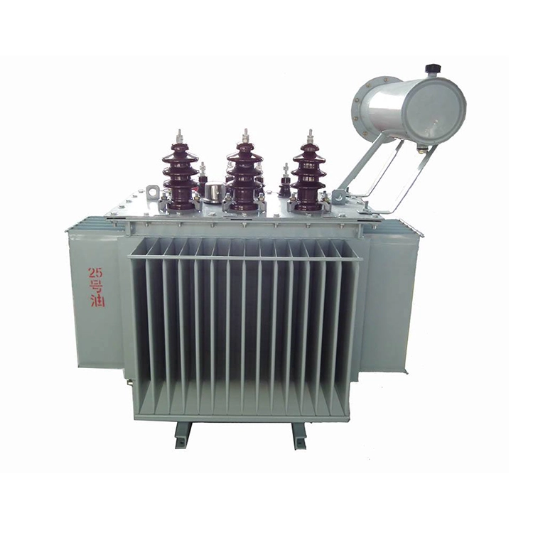 160kva तेलाने भरलेला कमी तोटा इलेक्ट्रिकल ट्रान्सफॉर्मर 160kva तेलाने भरलेला कमी तोटा इलेक्ट्रिकल ट्रान्सफॉर्मर